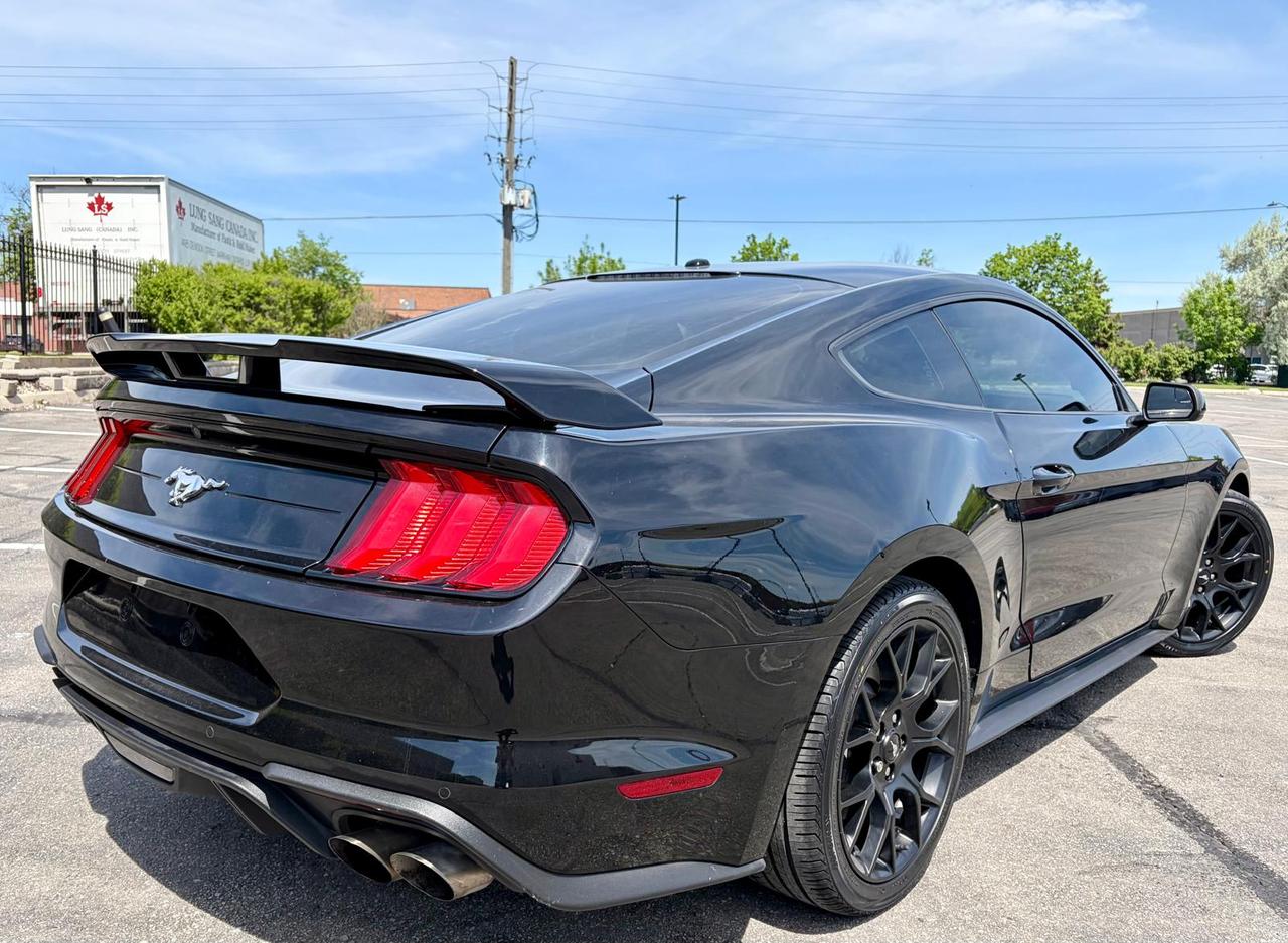 2019 Ford Mustang EcoBoost Photo