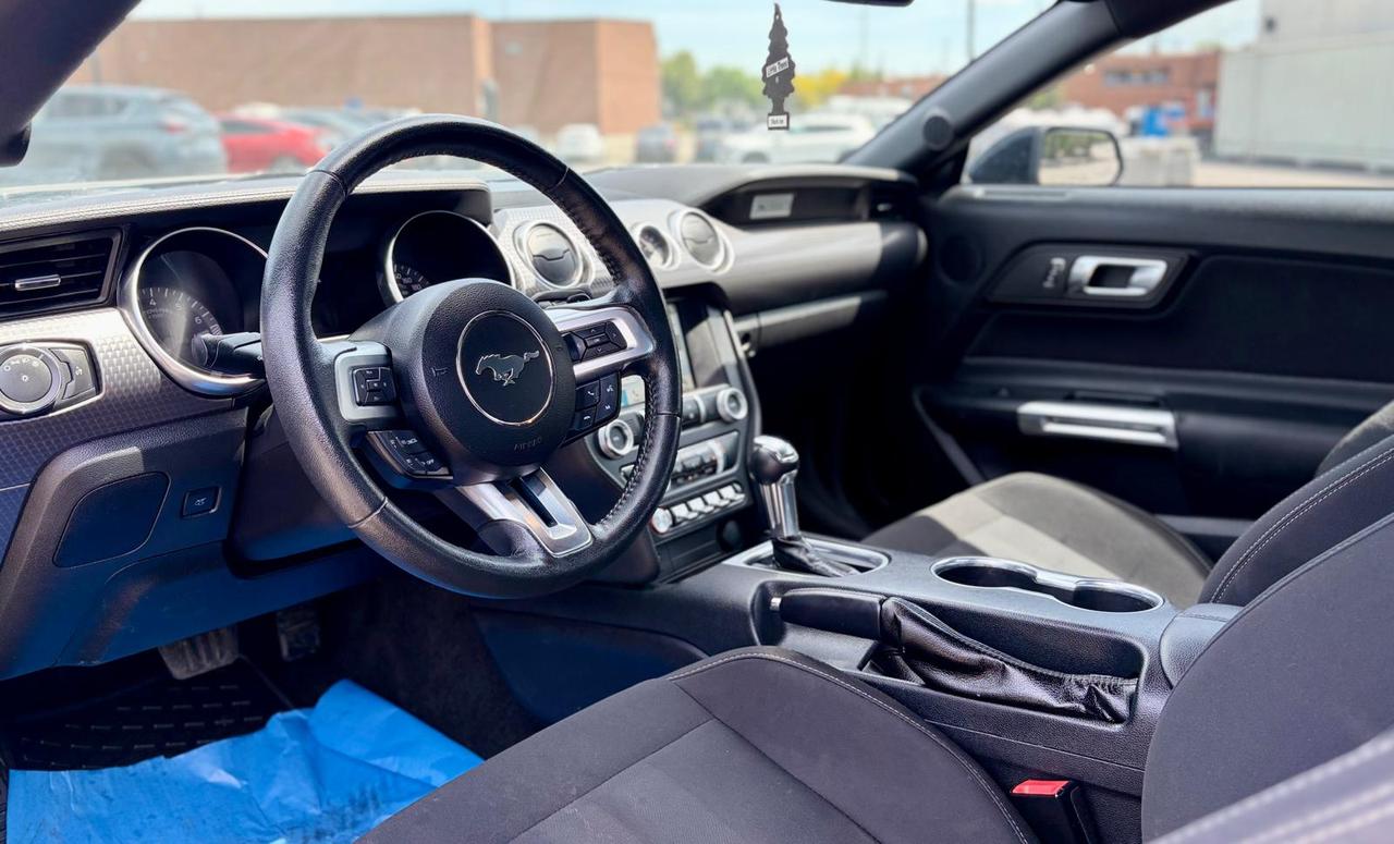 2019 Ford Mustang EcoBoost - Photo #7
