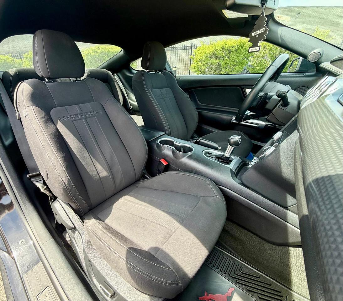 2019 Ford Mustang EcoBoost - Photo #8