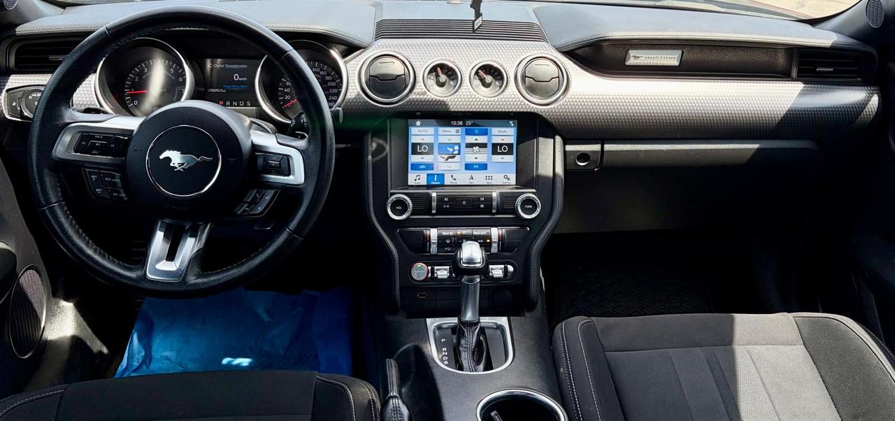 2019 Ford Mustang EcoBoost Photo