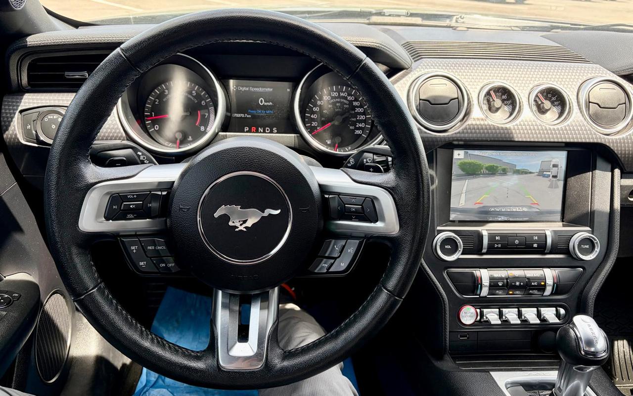 2019 Ford Mustang EcoBoost Photo