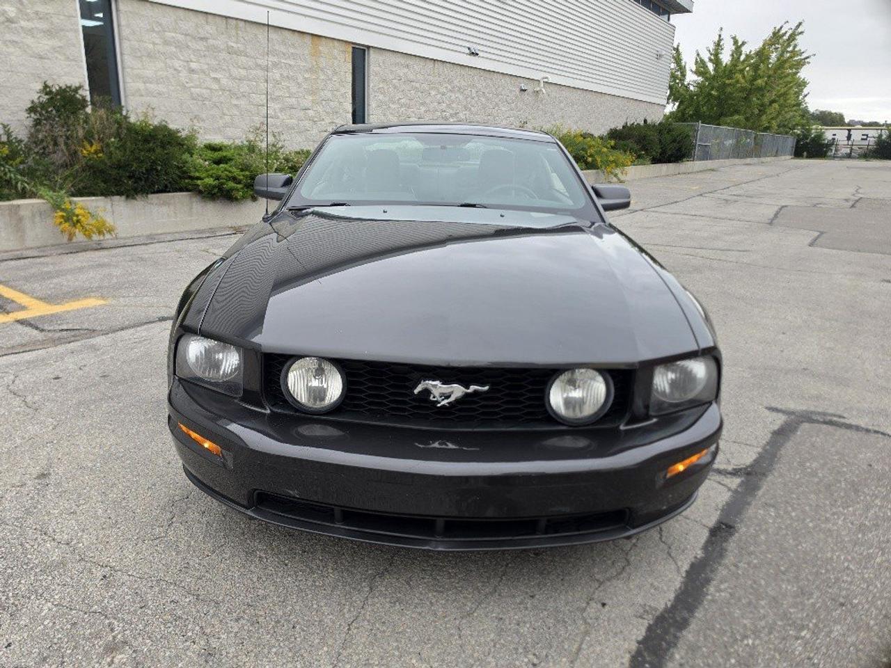 2009 Ford Mustang GT COUPE **5 SPEED MANUAL-GLASS ROOF-LEATHER-CERTIFIED** Photo