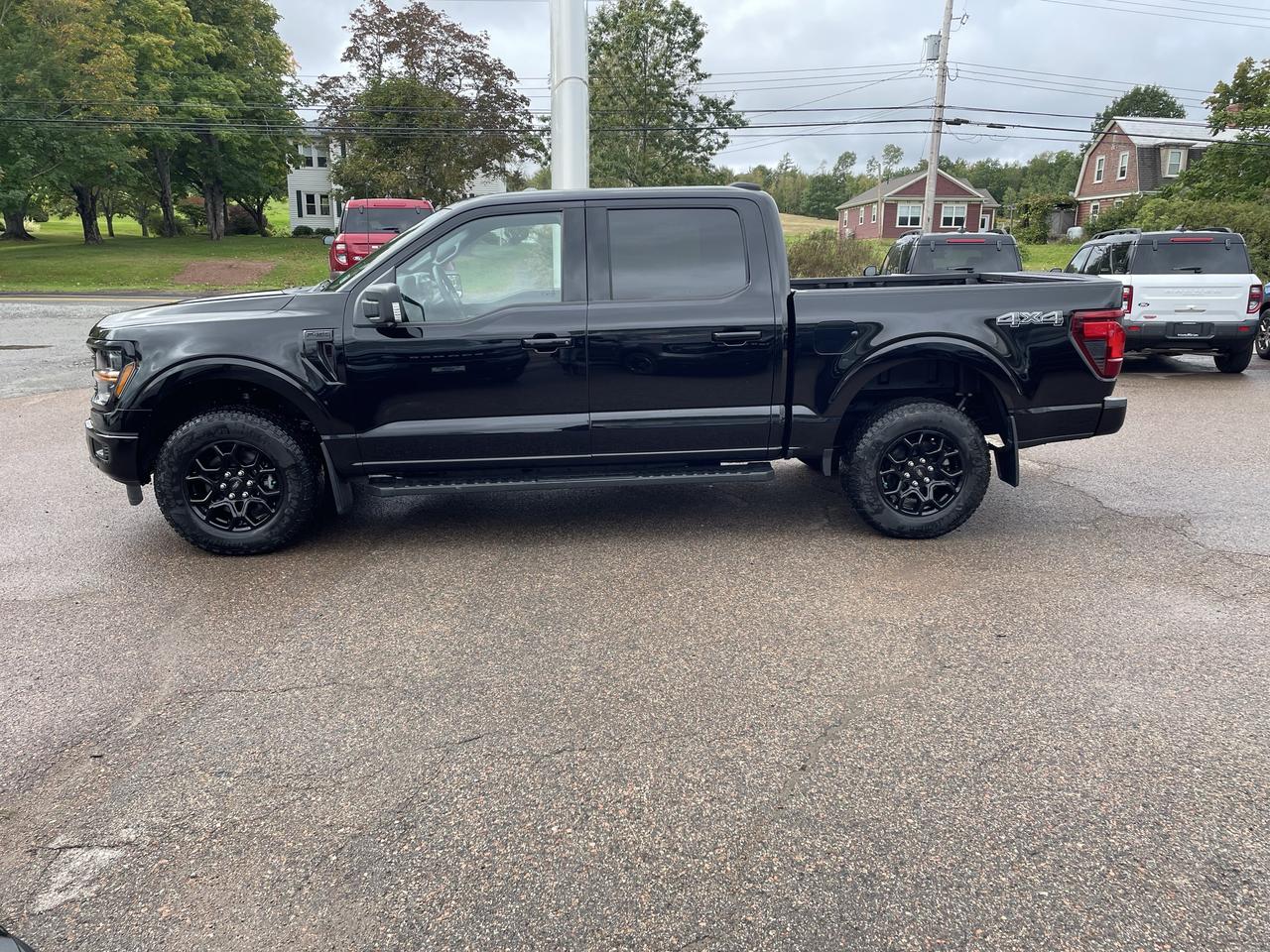 2026 Ford F-150 XLT Photo3