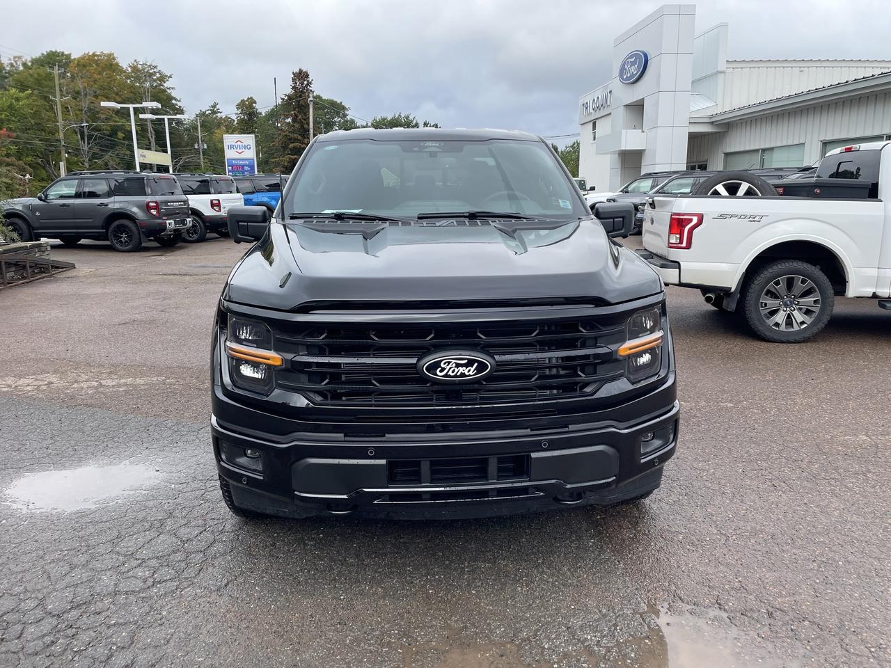 2026 Ford F-150 XLT Photo1