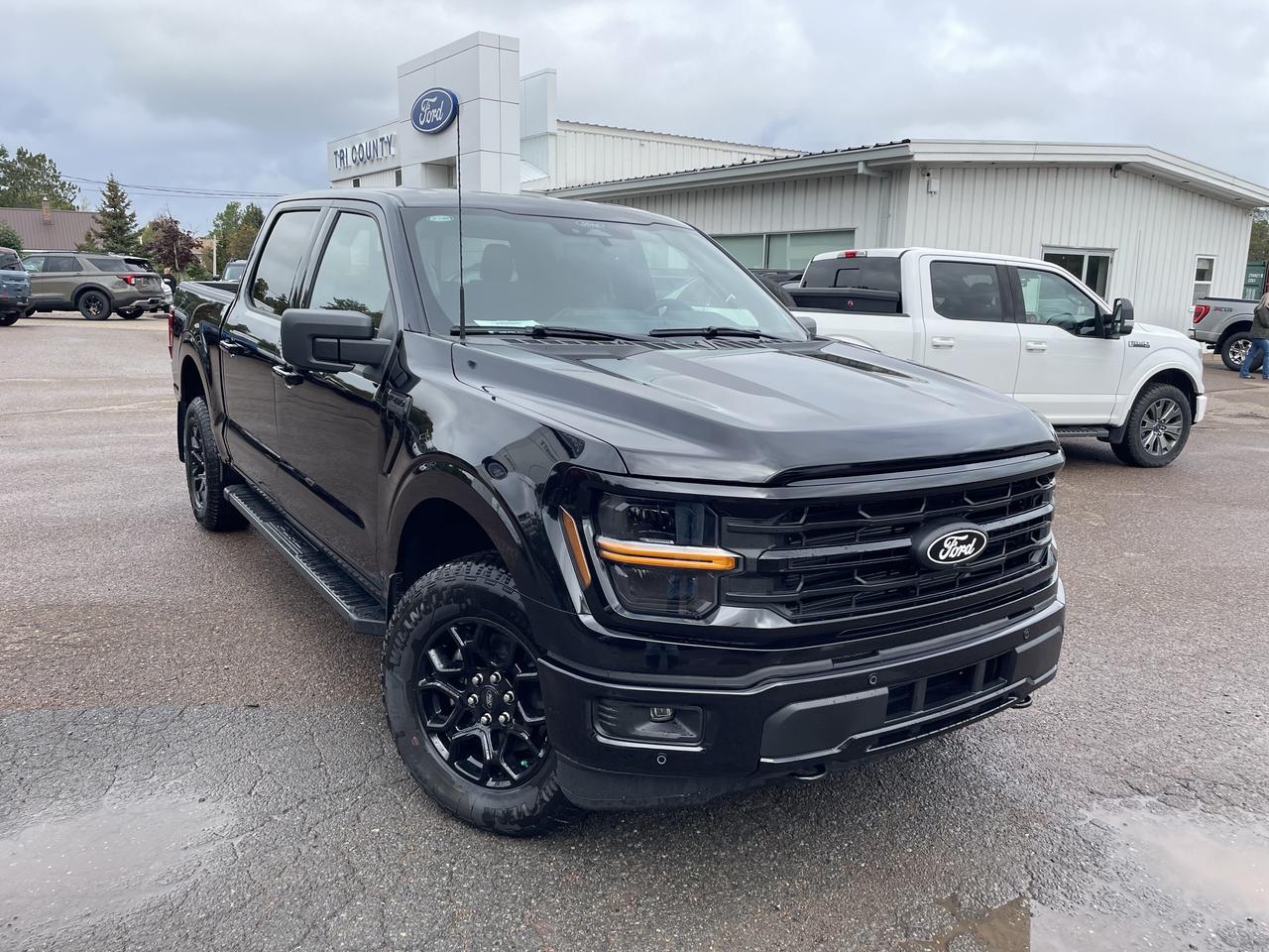2026 Ford F-150 XLT Photo0