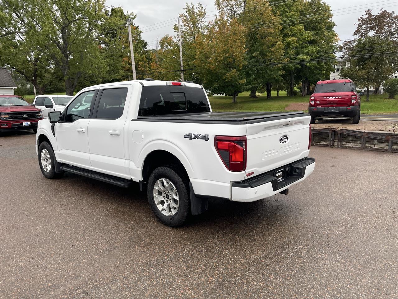 2024 Ford F-150 XLT Photo4