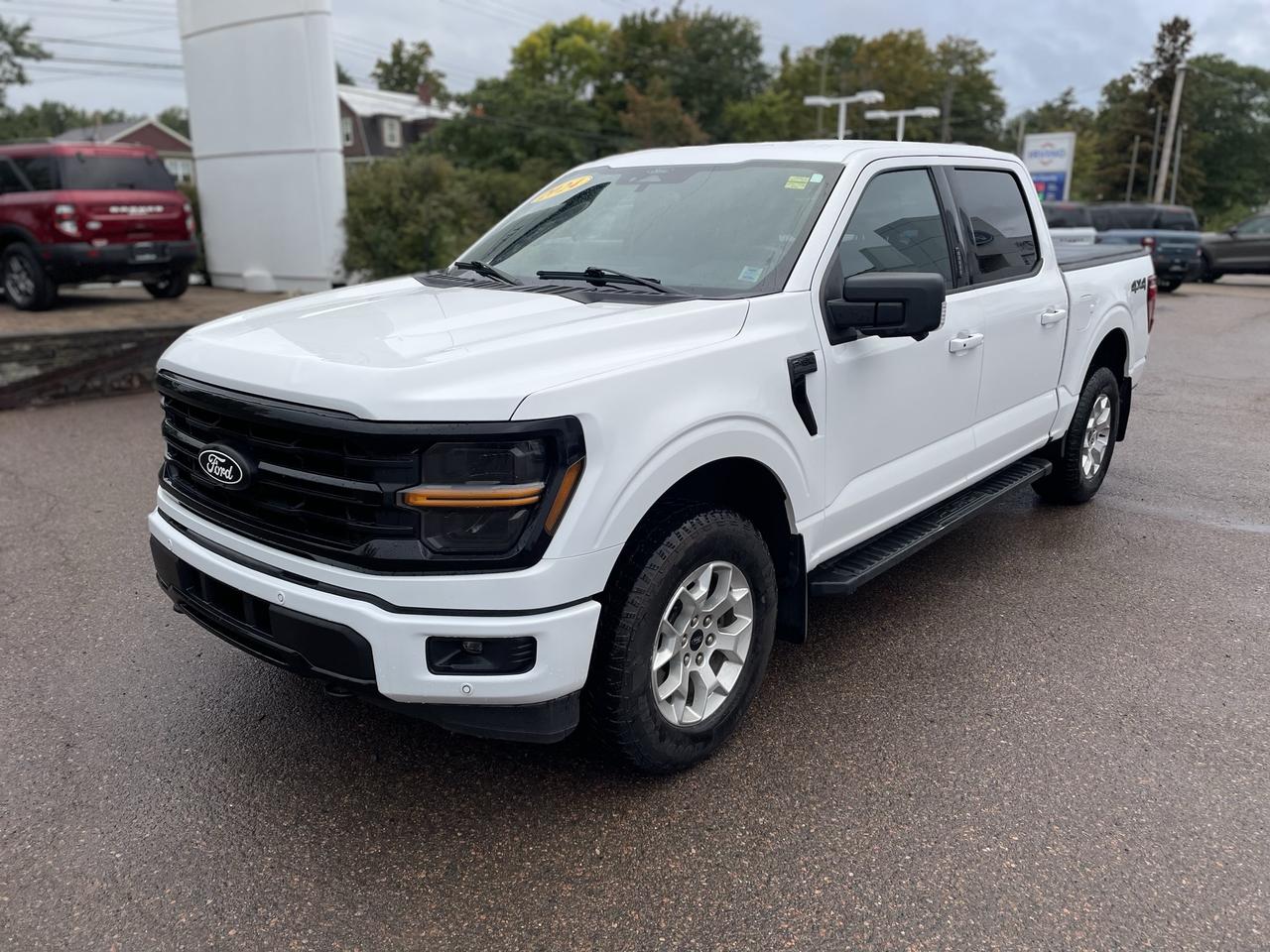 2024 Ford F-150 XLT Photo2