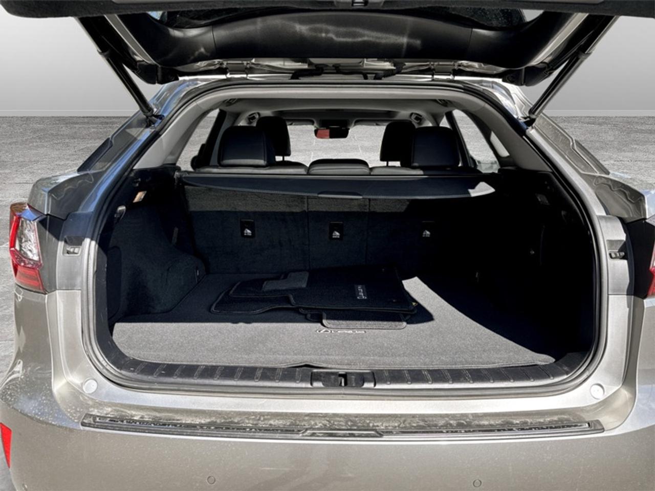 2017 Lexus RX 350 Photo