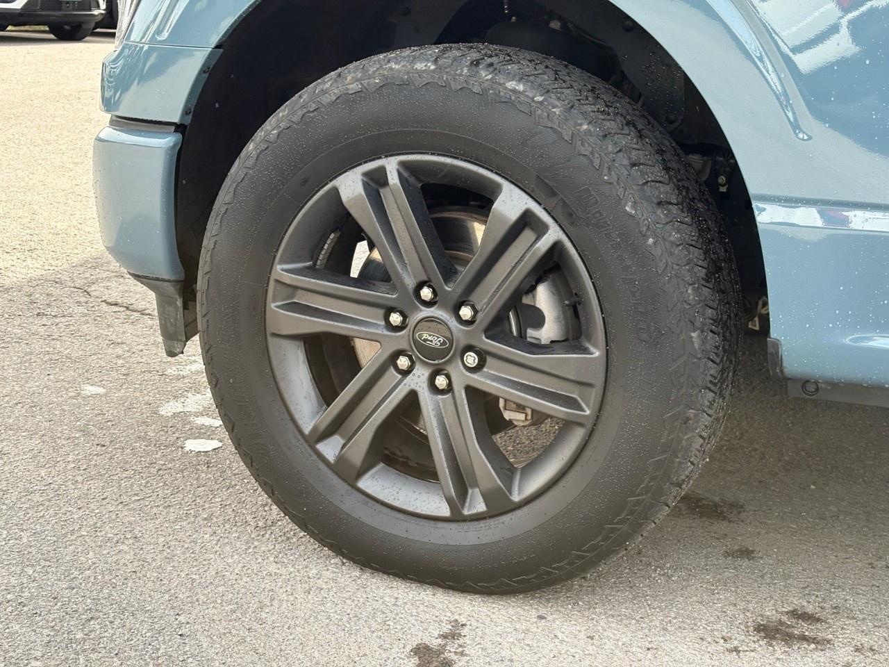 2023 Ford F-150 XLT 4WD SuperCrew 6.5' Box Photo