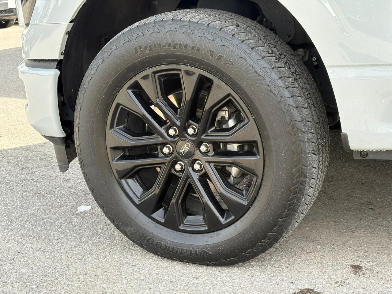 2024 Ford F-150 Lariat 4WD SuperCrew 5.5' Box Photo