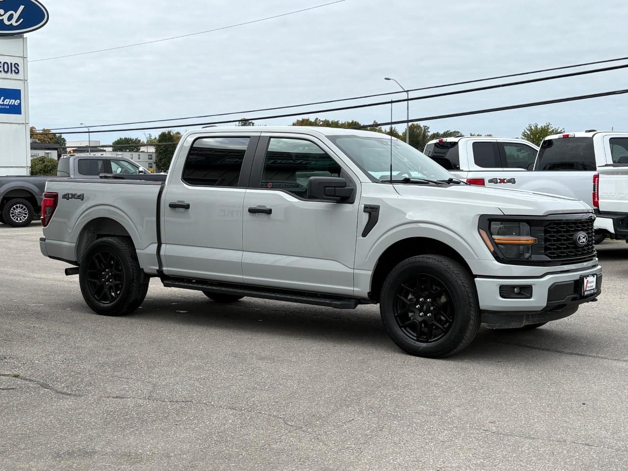 2024 Ford F-150 STX 4WD SuperCrew 5.5' Box Photo