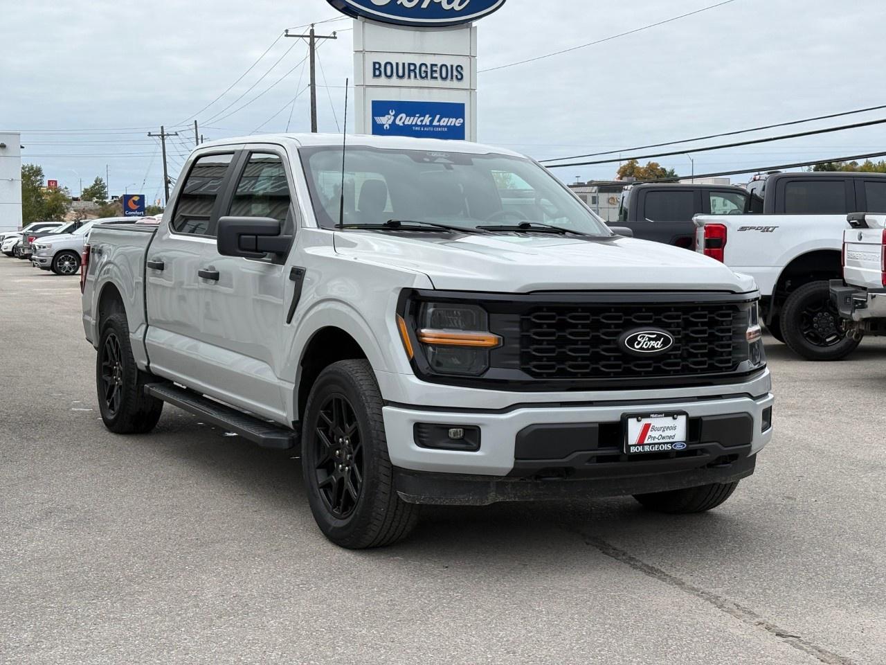 2024 Ford F-150 STX 4WD SuperCrew 5.5' Box Photo