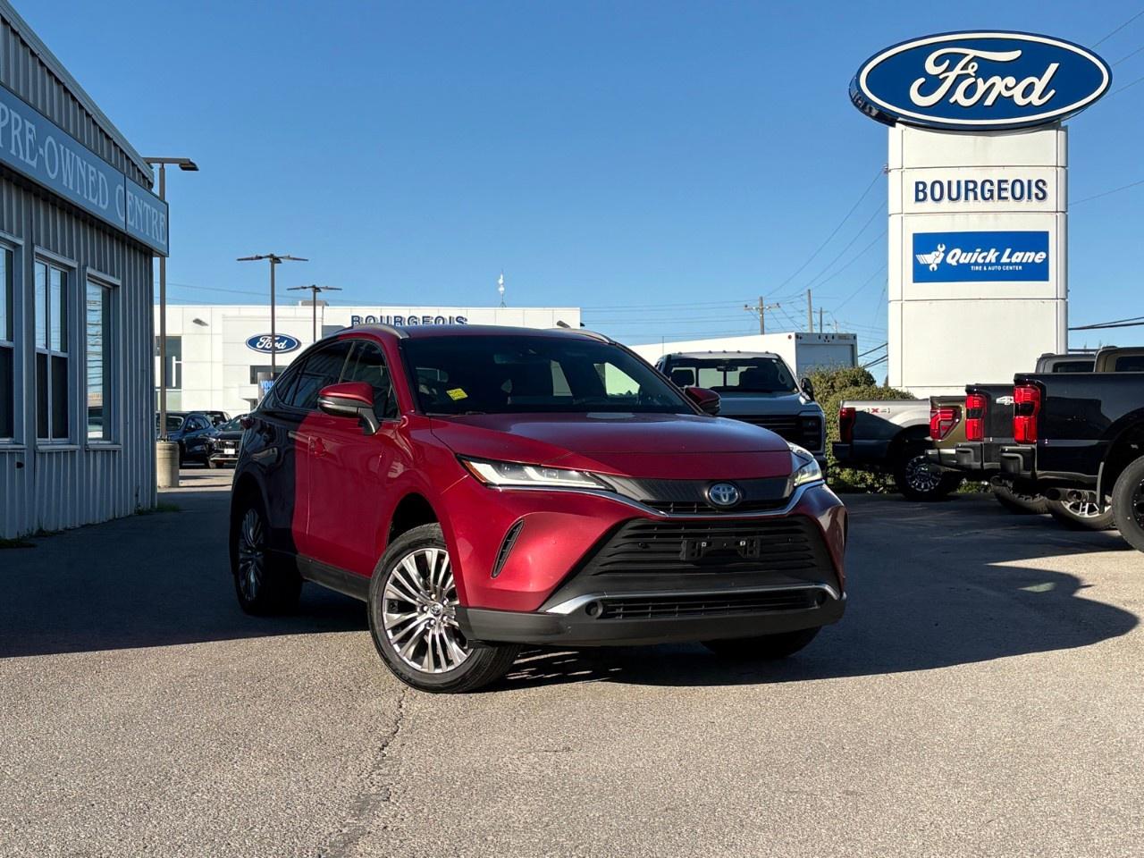 2022 Toyota Venza XLE AWD Photo