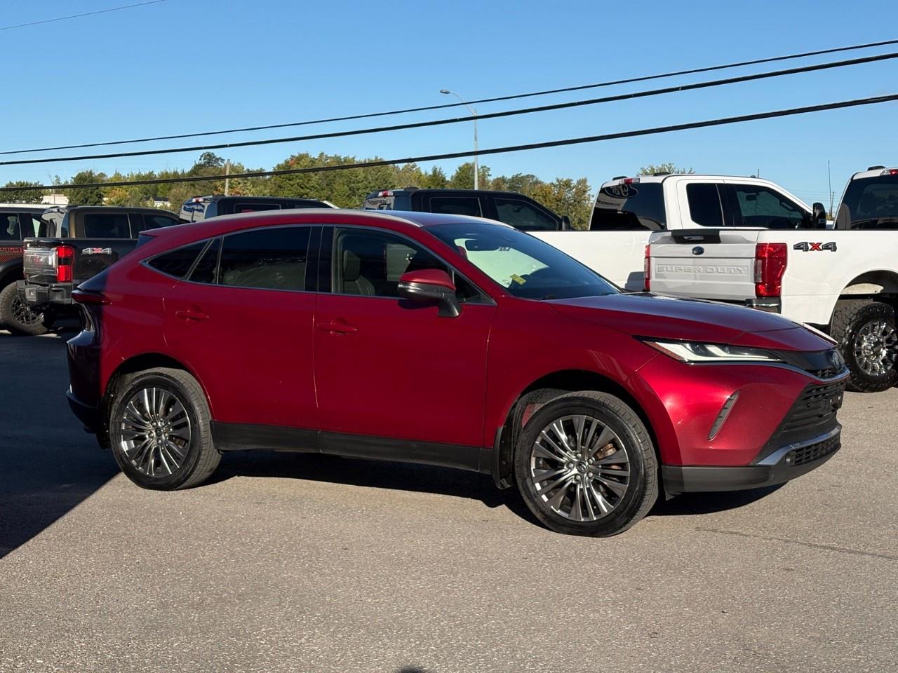 2022 Toyota Venza XLE AWD Photo