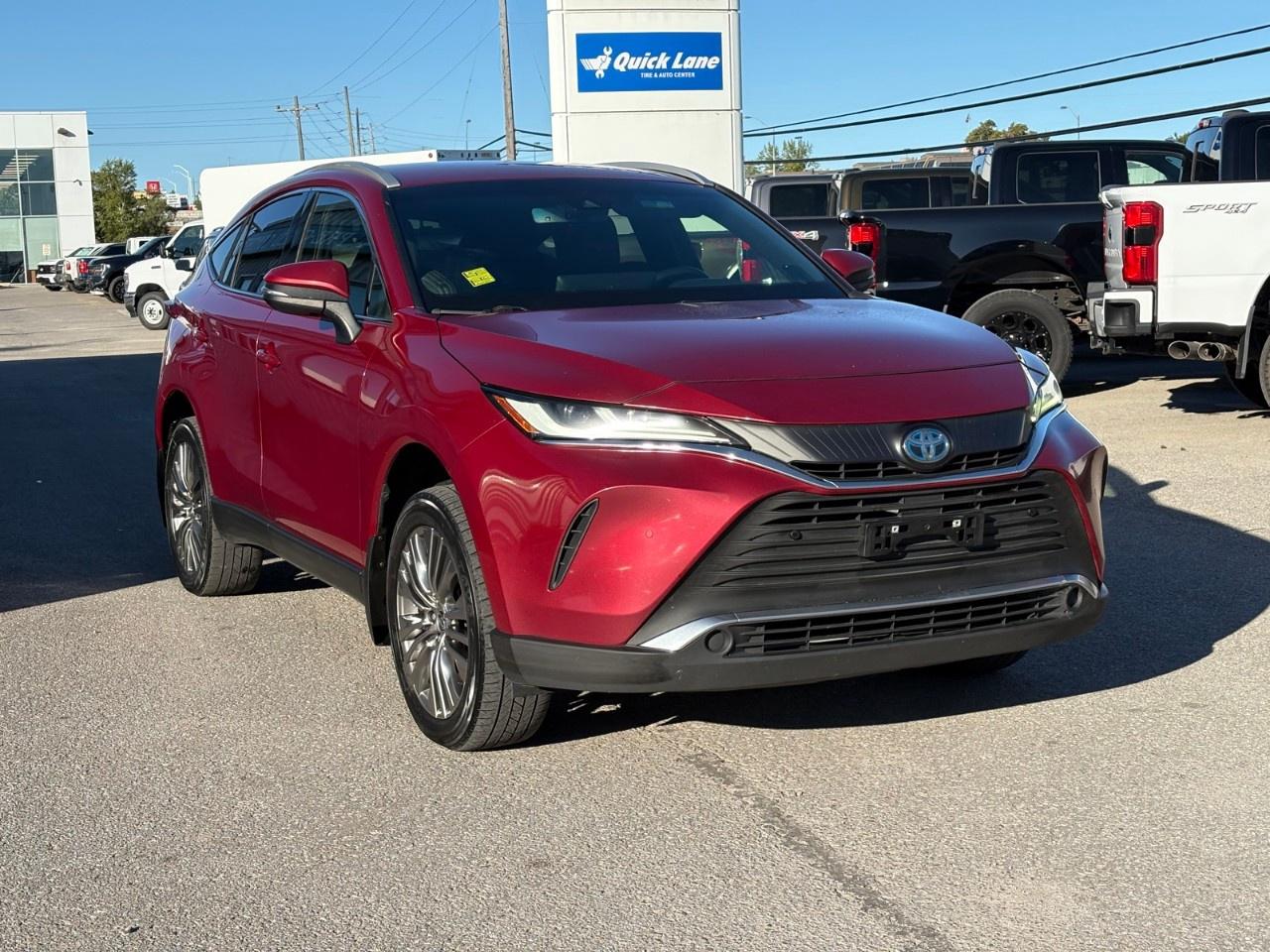 2022 Toyota Venza XLE AWD Photo