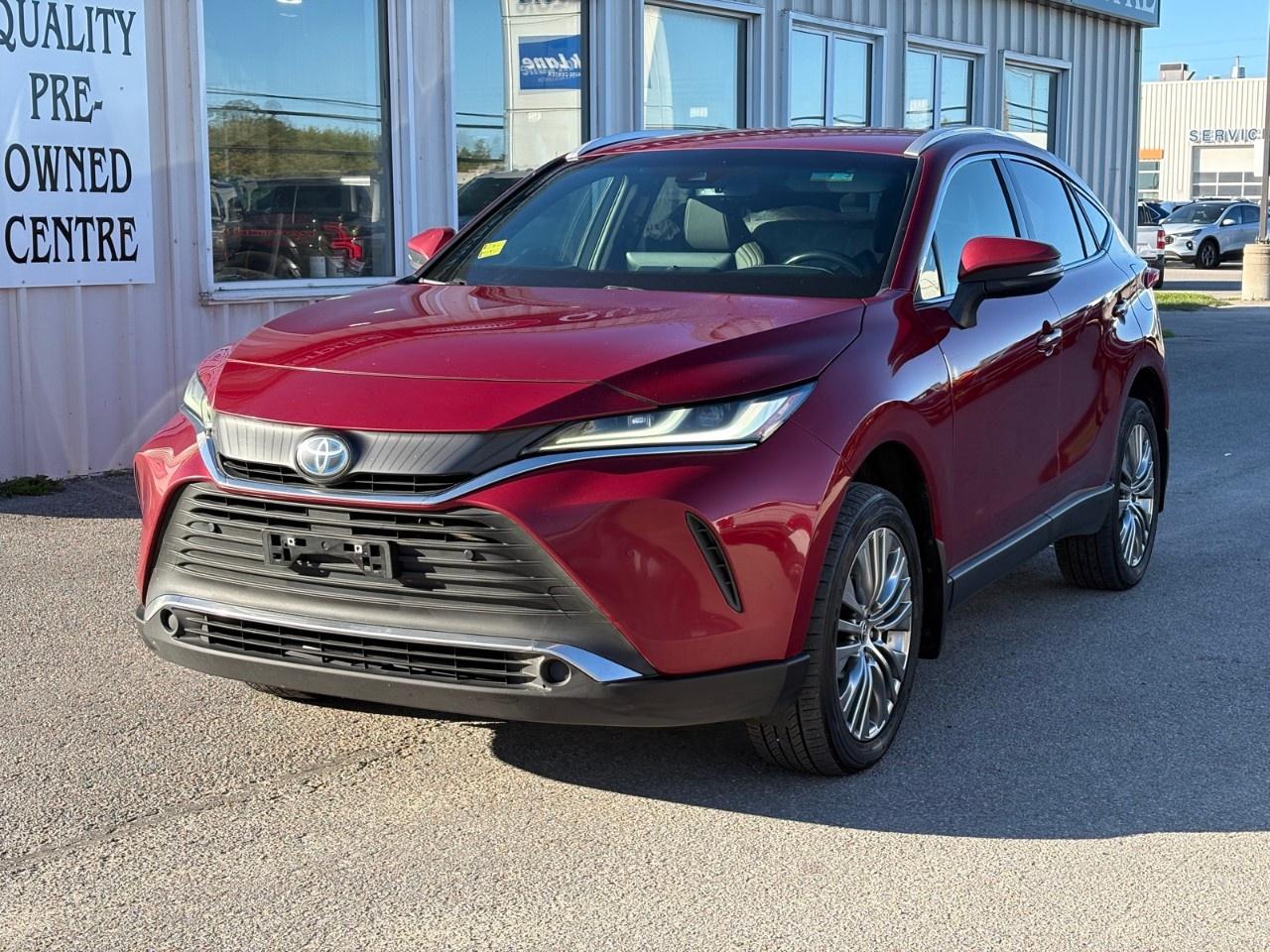 2022 Toyota Venza XLE AWD Photo