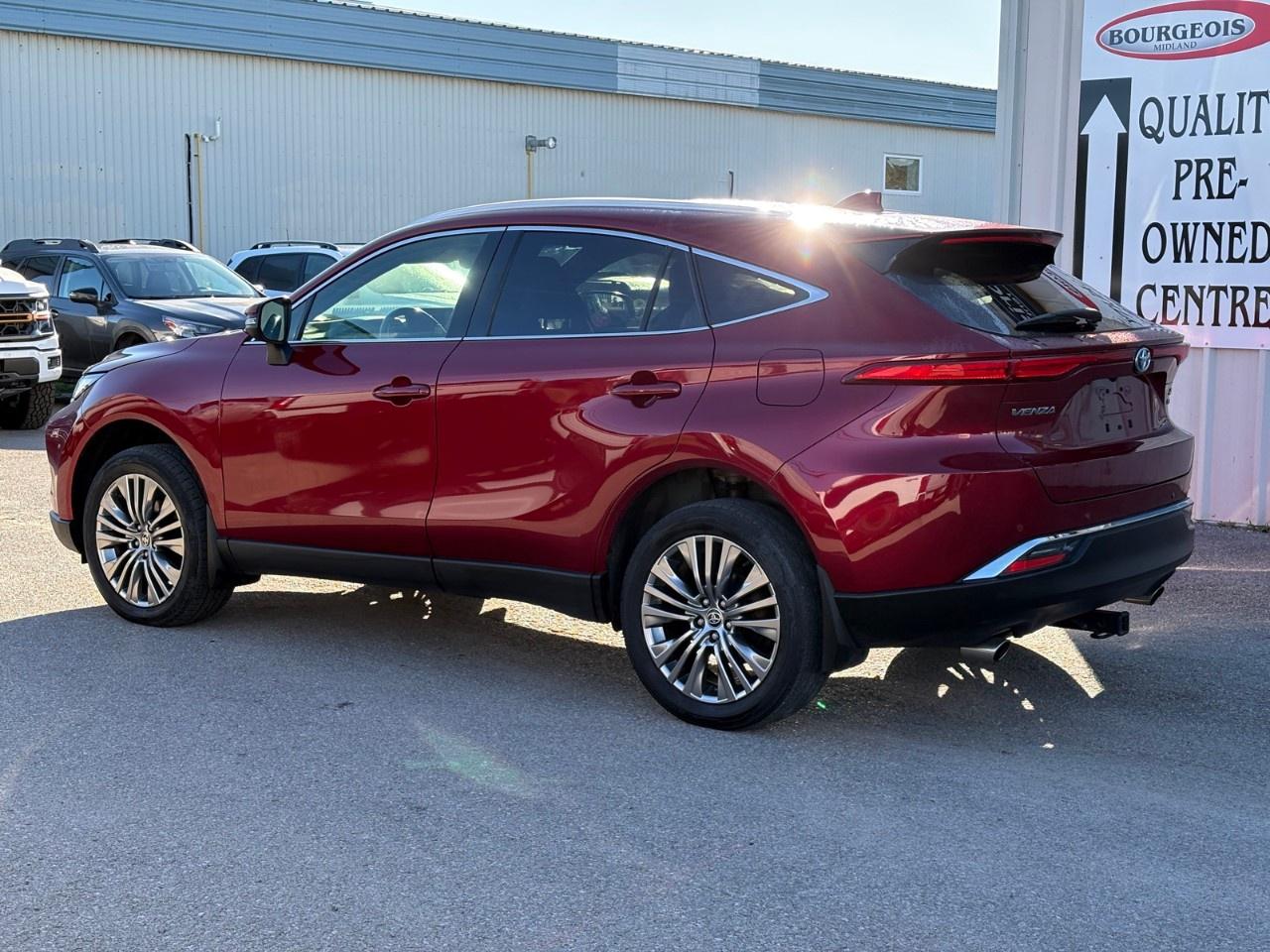 2022 Toyota Venza XLE AWD Photo