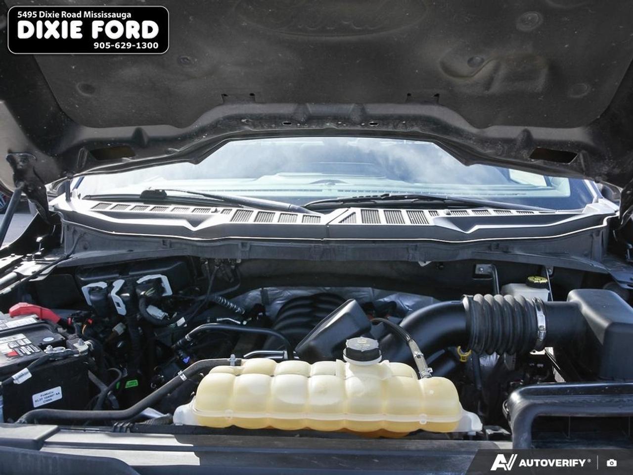 2021 Ford F-150 XLT Photo