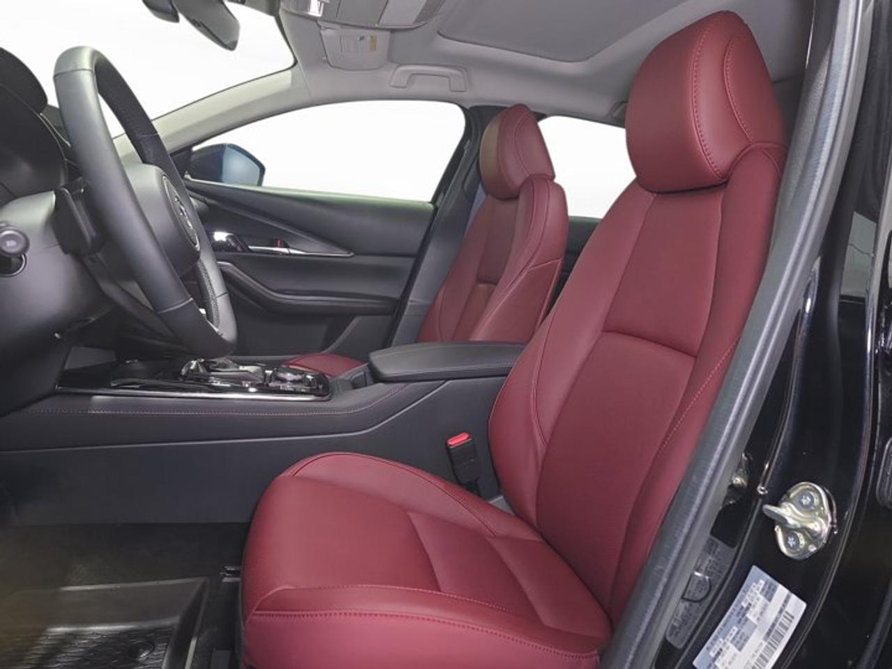 2025 Mazda CX-30 Premium Photo