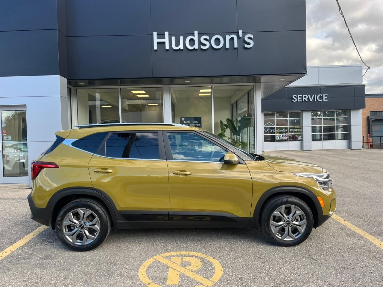 2024 Kia Seltos EX AWD Photo