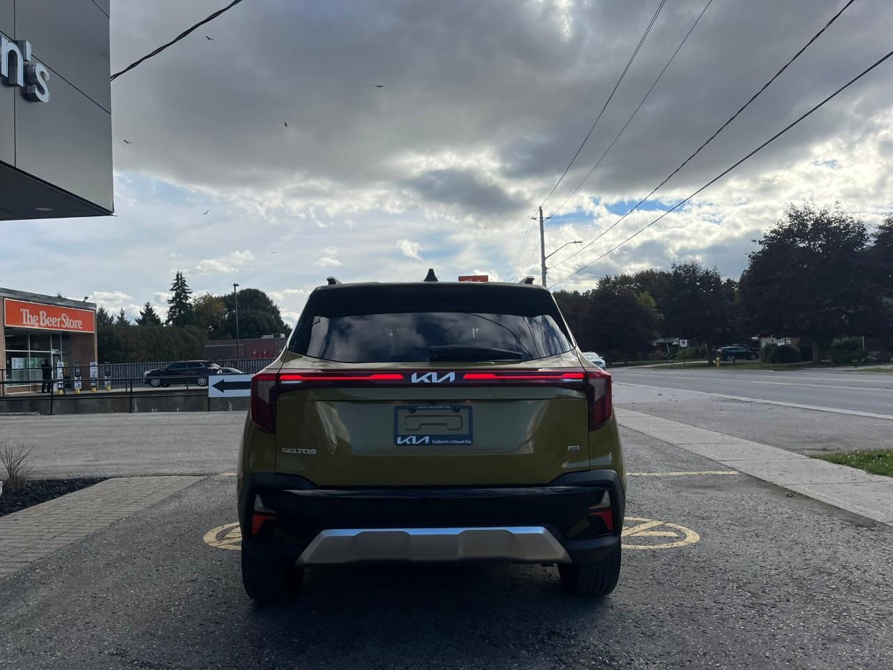 2024 Kia Seltos EX AWD Photo