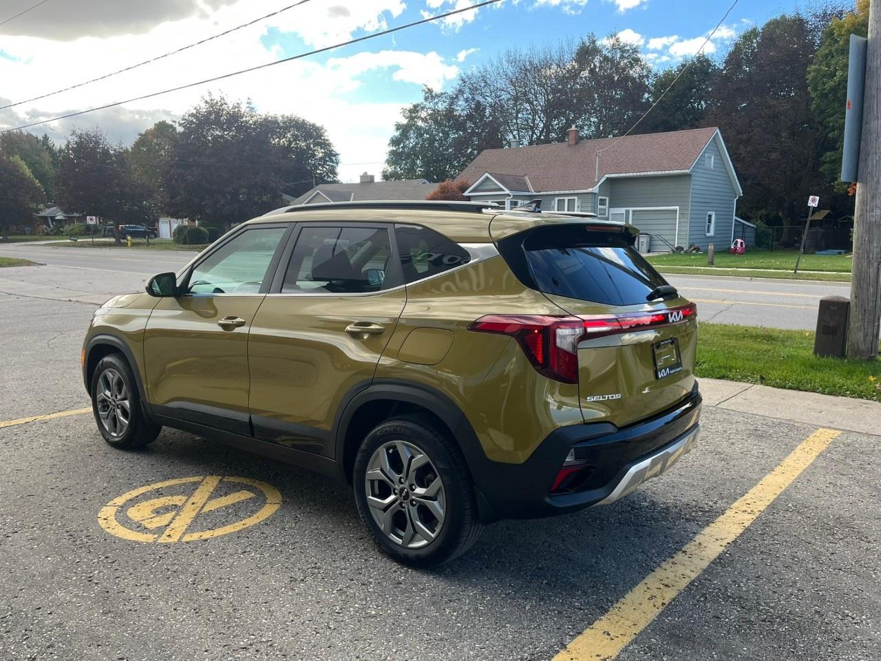 2024 Kia Seltos EX AWD Photo