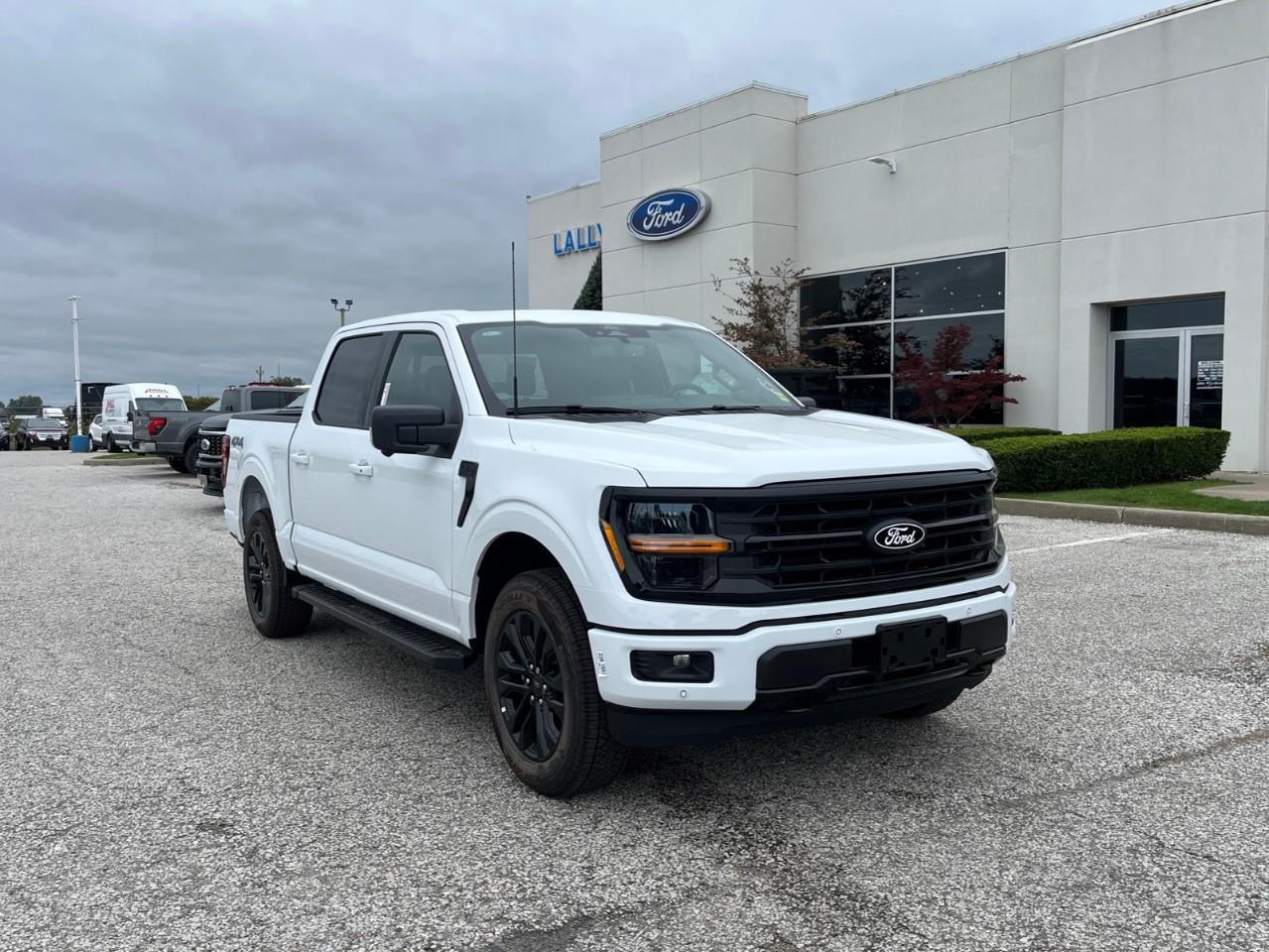 2026 Ford F-150 XLT Photo