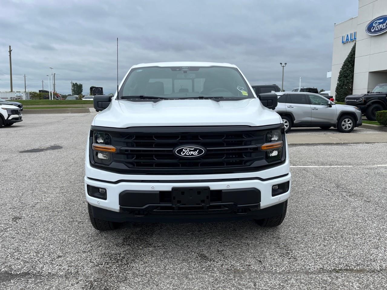 2026 Ford F-150 XLT Photo