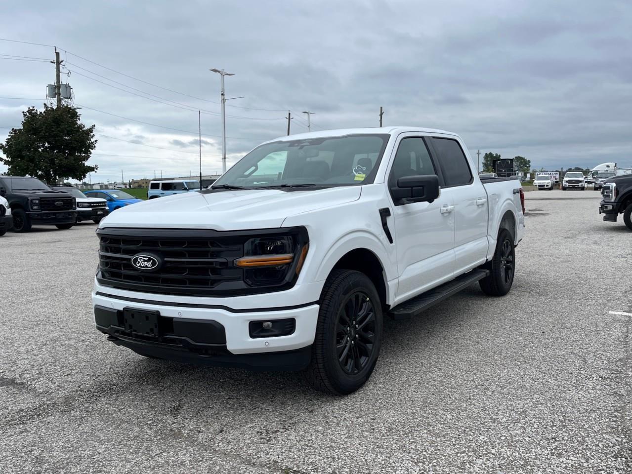 2026 Ford F-150 XLT Photo
