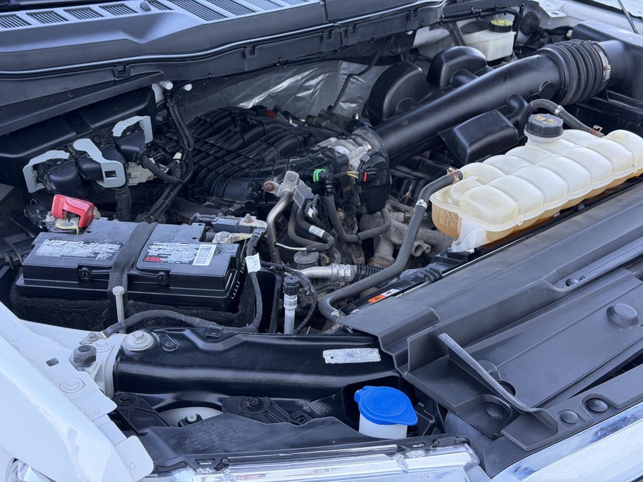 2022 Ford F-150 XLT/3.3L V6/Super Crew/5.5 Foot Bed Photo