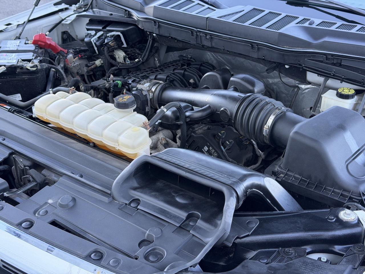 2022 Ford F-150 XLT/3.3L V6/Super Crew/5.5 Foot Bed Photo