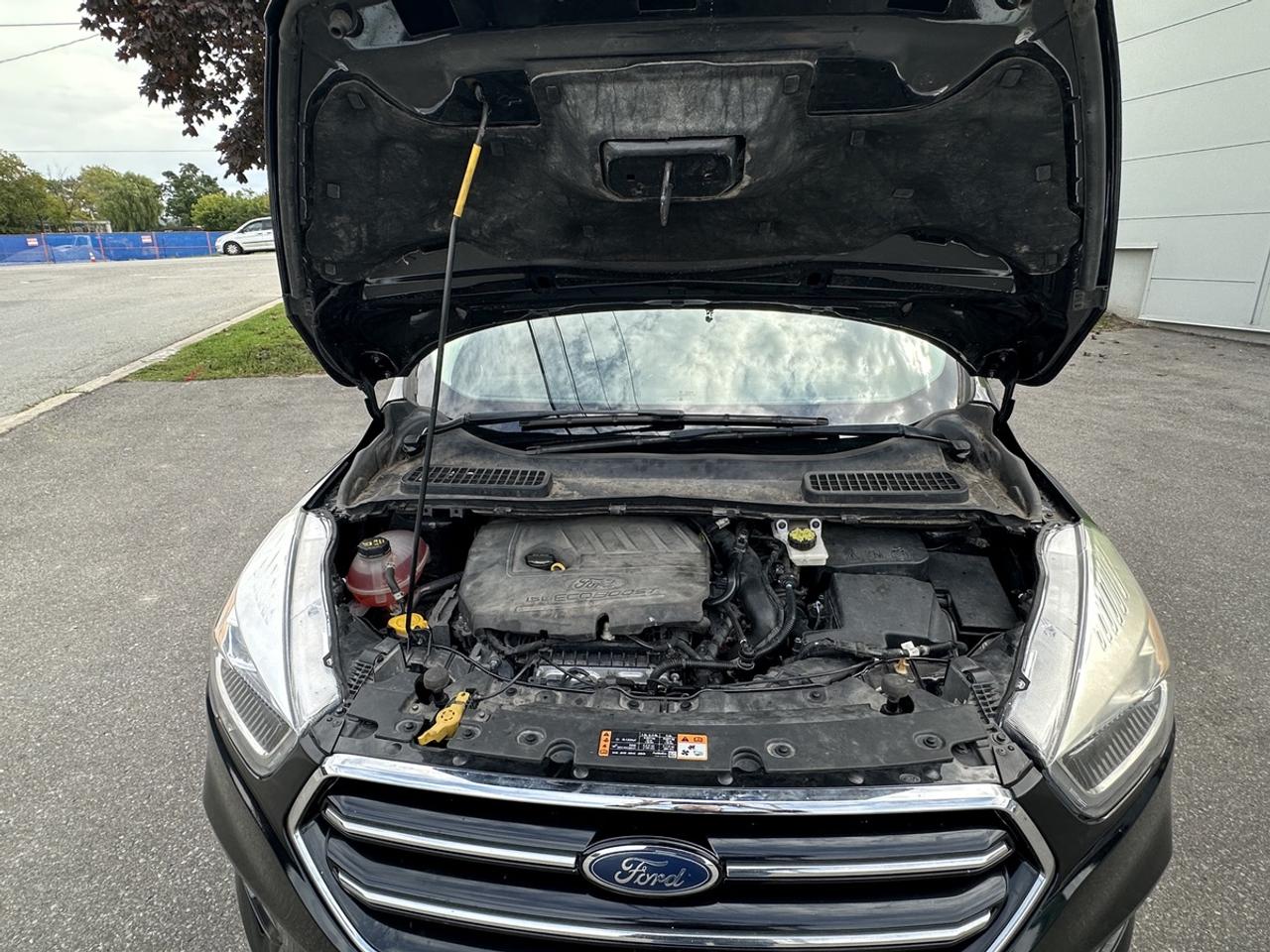 2018 Ford Escape SE Photo