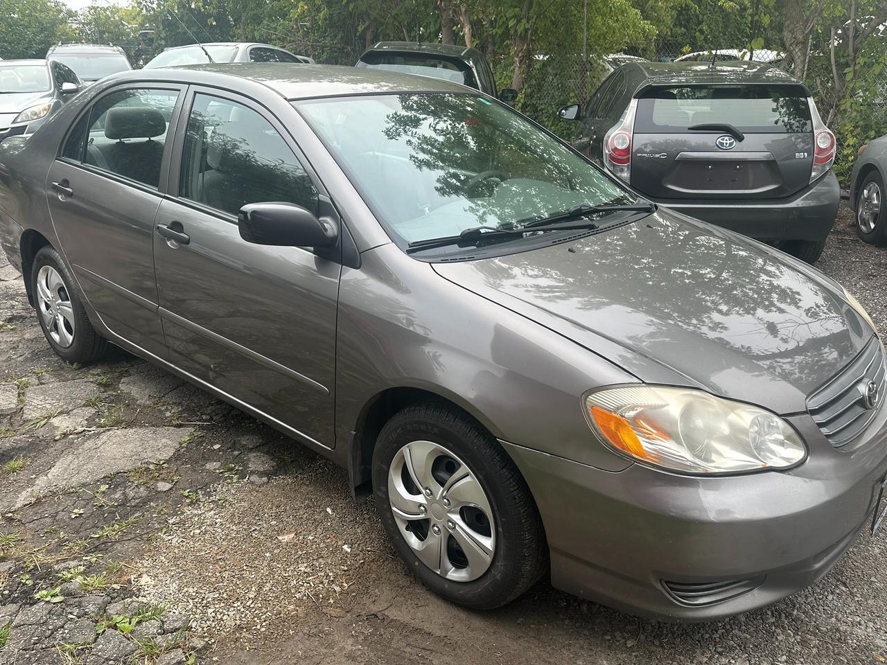 2004 Toyota Corolla CE Photo