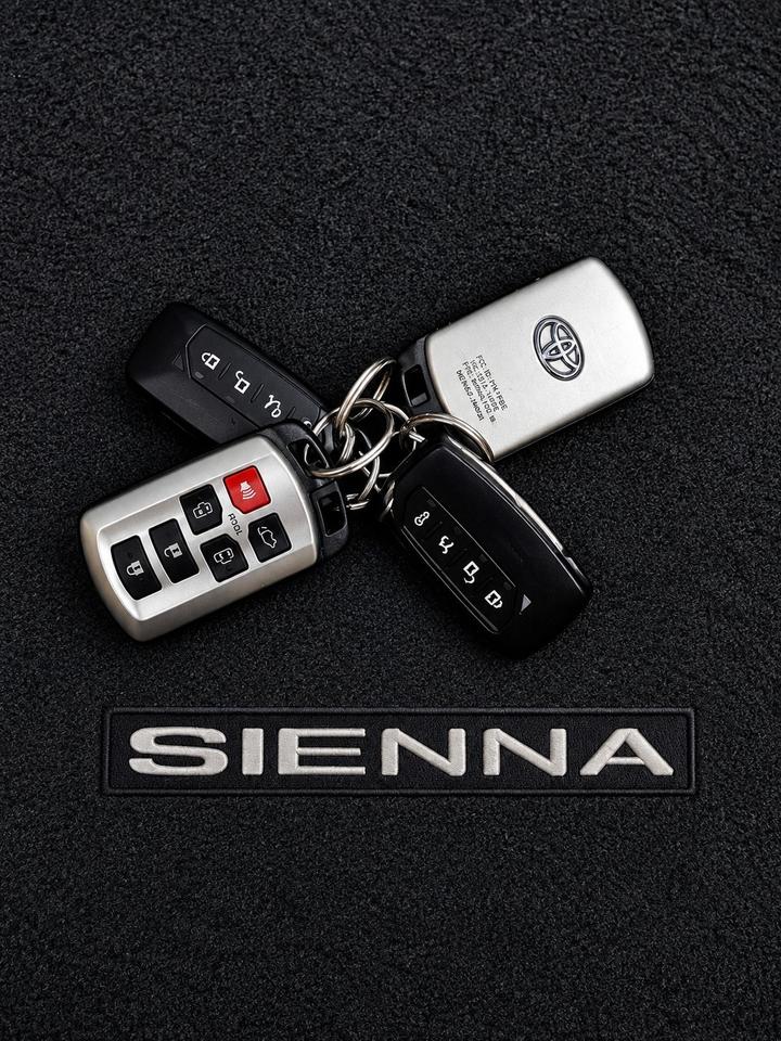 2017 Toyota Sienna 5DR XLE 7-PASS AWD Photo