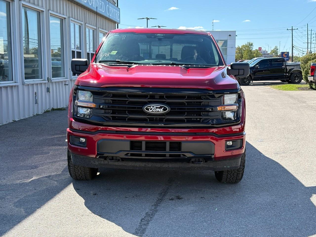 2026 Ford F-150 XLT 4WD SuperCrew 5.5' Box Photo