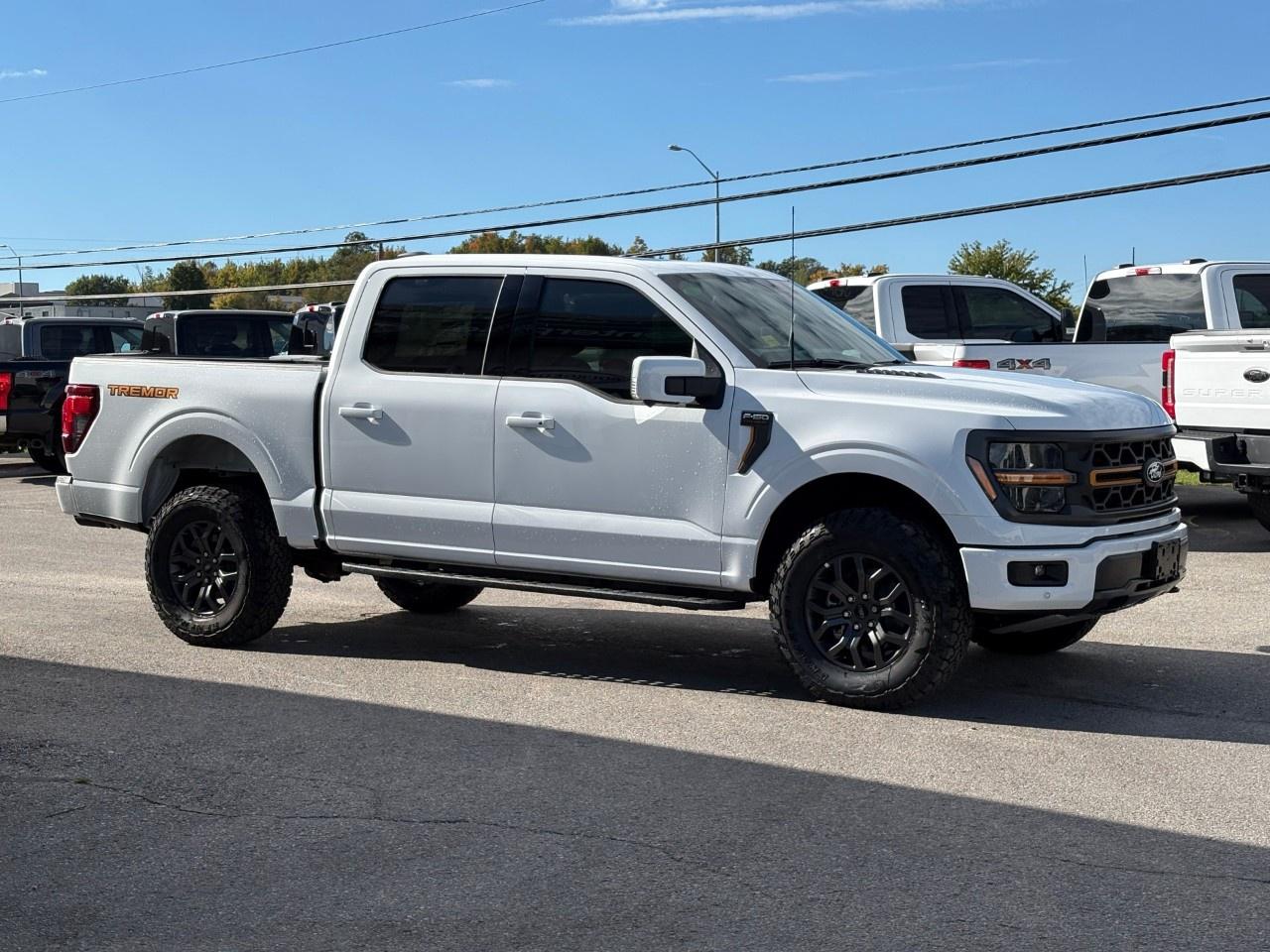 2026 Ford F-150 Tremor 4WD SuperCrew 5.5' Box Photo