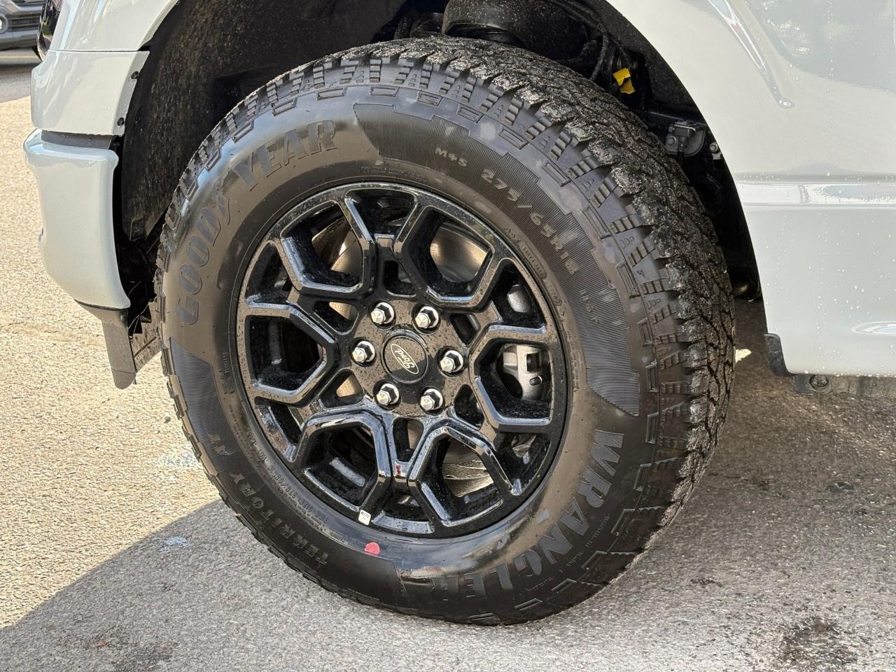2026 Ford F-150 XLT 4WD SuperCrew 5.5' Box Photo