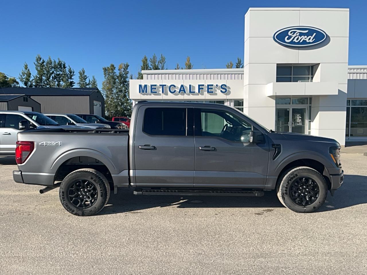 2025 Ford F-150 CREW CAB PICKUP Photo0