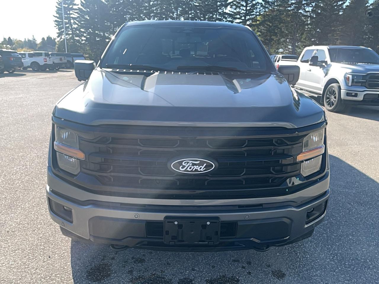2025 Ford F-150 CREW CAB PICKUP Photo1