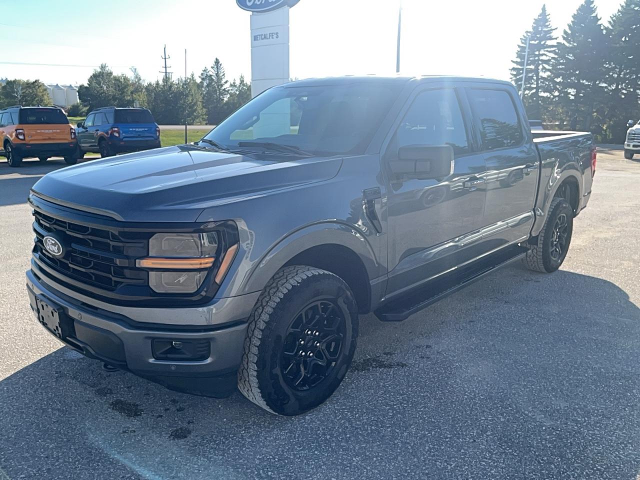 2025 Ford F-150 CREW CAB PICKUP Photo2
