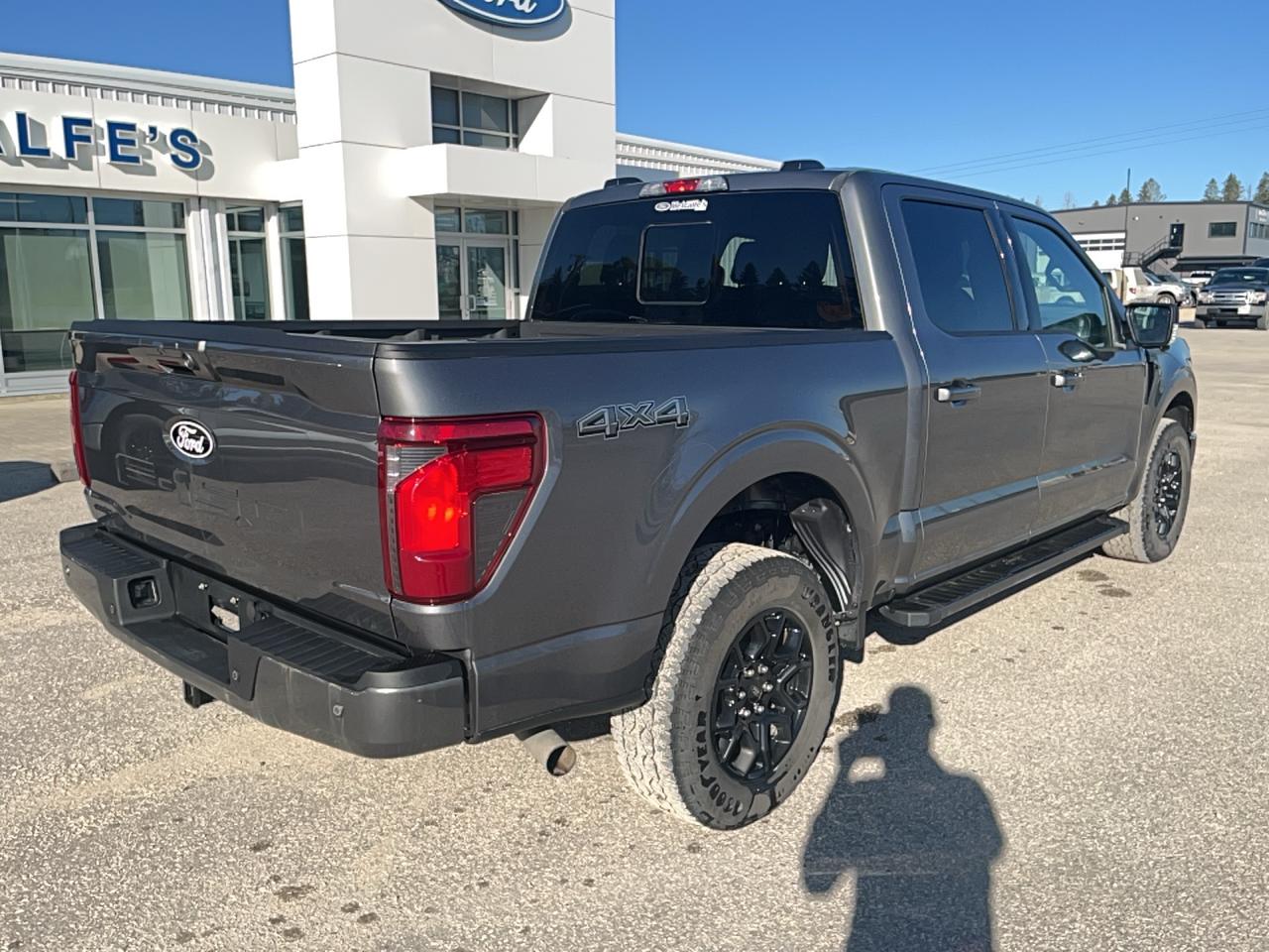 2025 Ford F-150 CREW CAB PICKUP Photo4