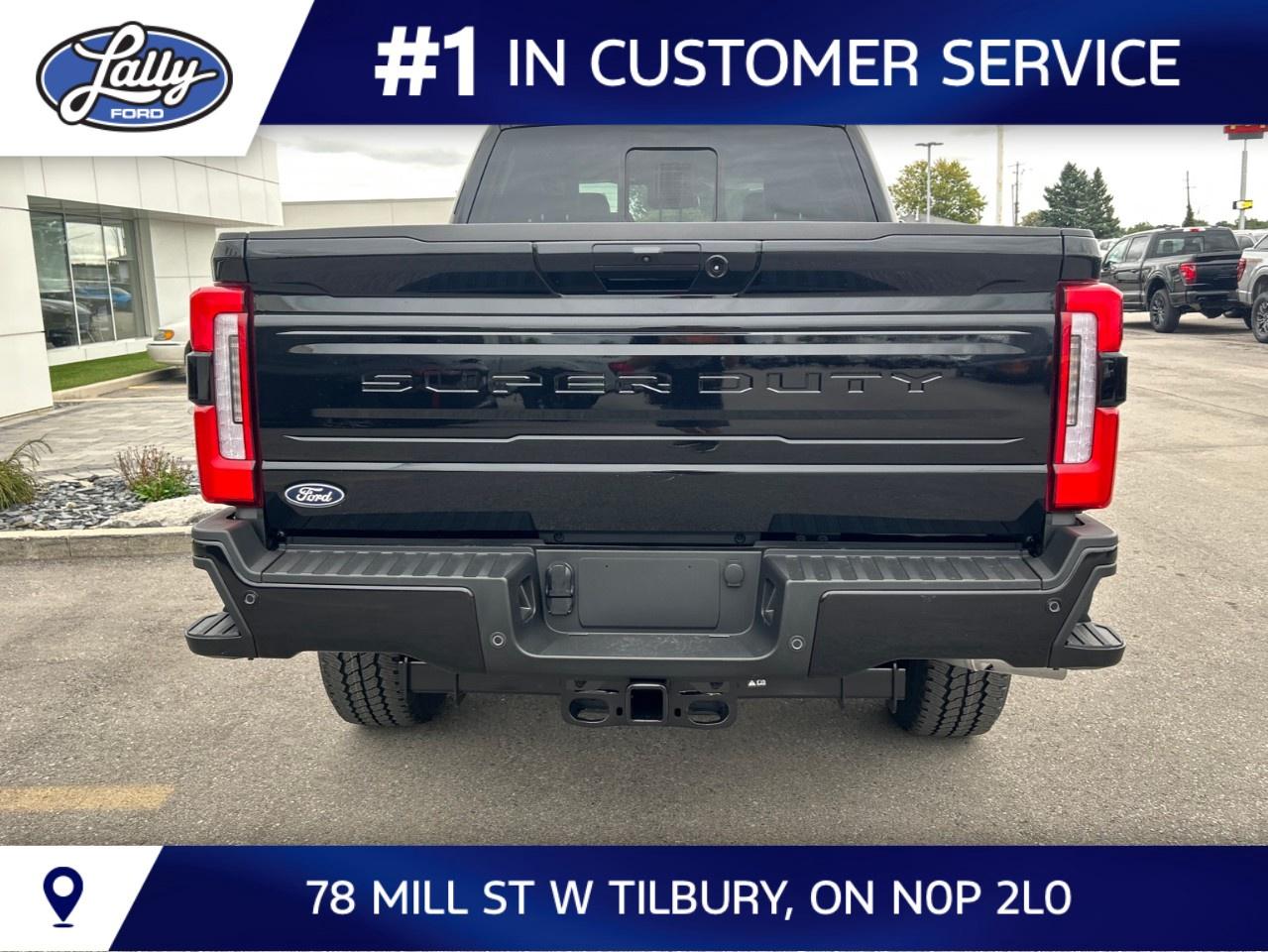 2027 Ford F-350 Super Duty SRW PLATINUM 4WD CREW CAB 6.75' BOX Photo