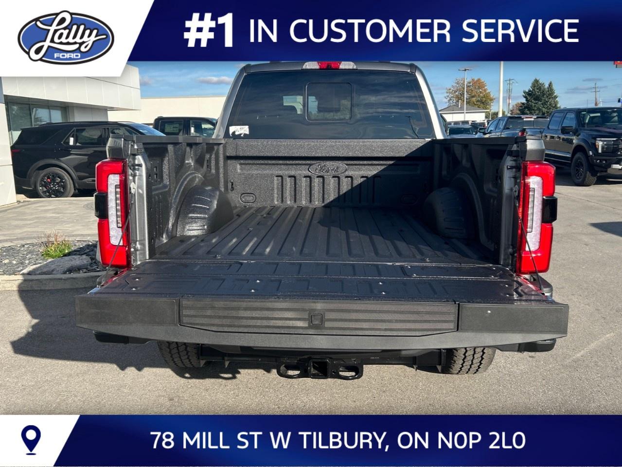 2027 Ford F-250 Super Duty SRW PLATINUM 4WD CREW CAB 6.75' BOX Photo
