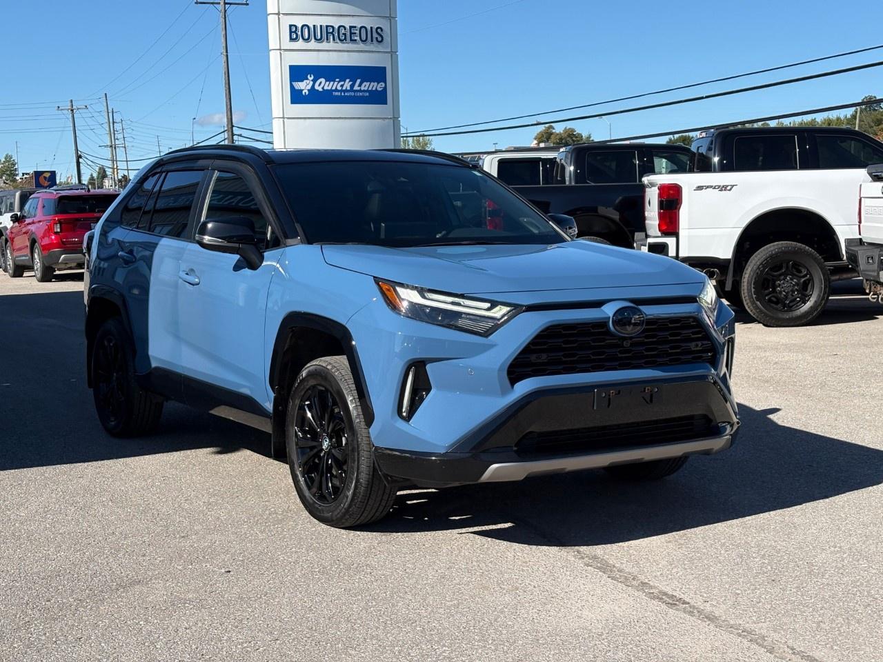 2024 Toyota RAV4 HYBRID XSE AWD Photo
