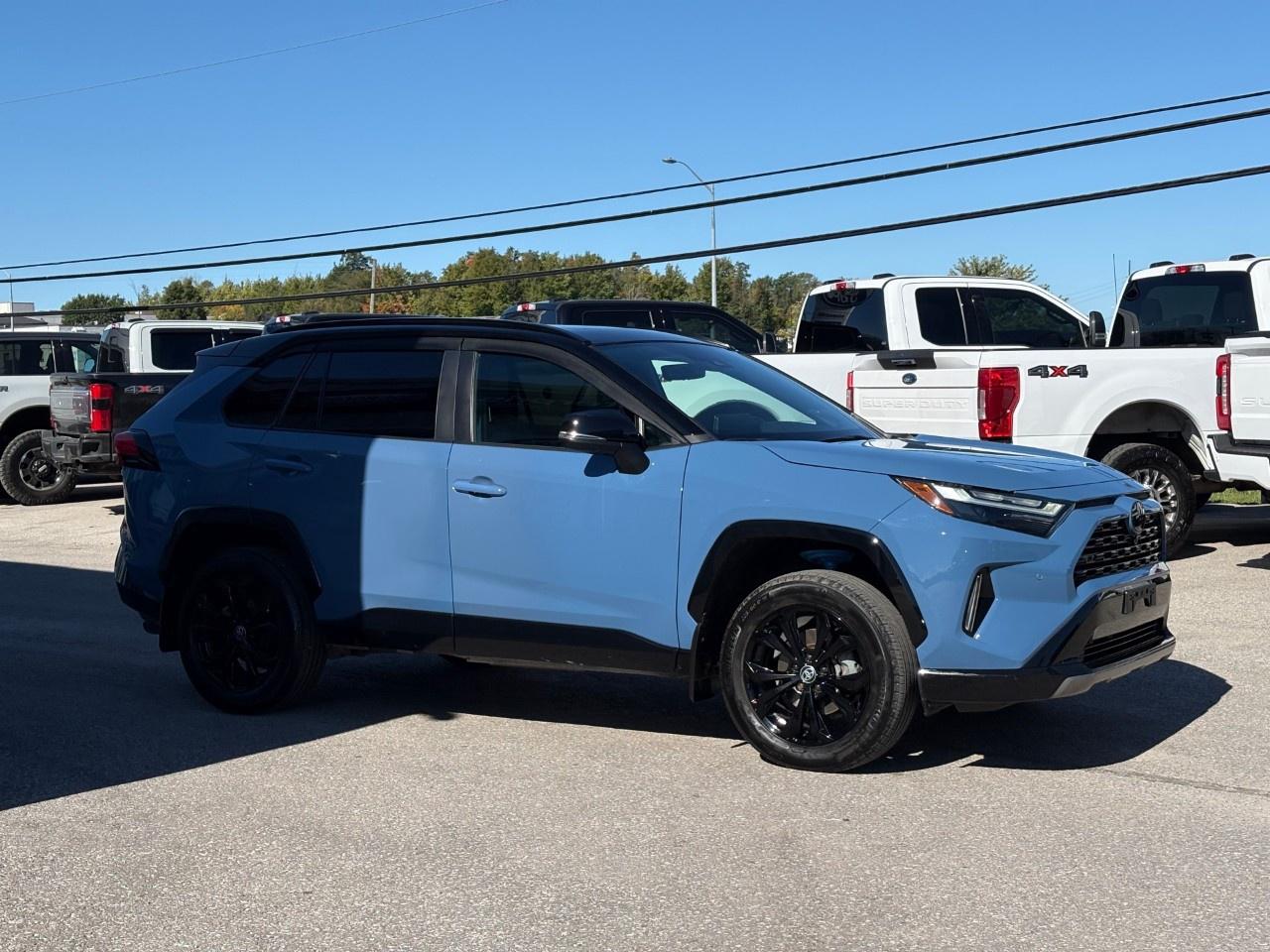 2024 Toyota RAV4 HYBRID XSE AWD Photo