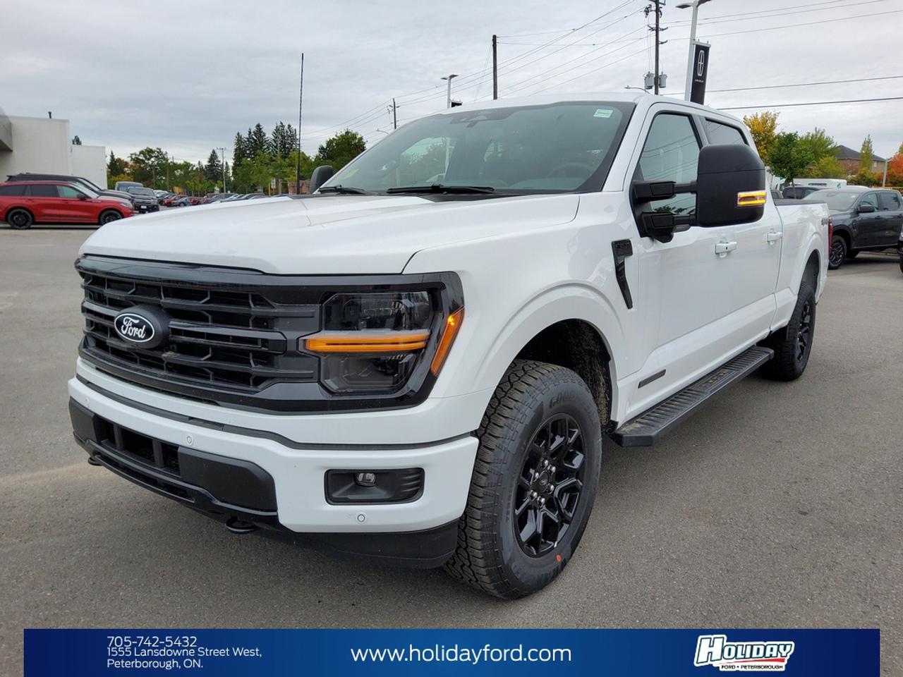 2026 Ford F-150 XLT Photo