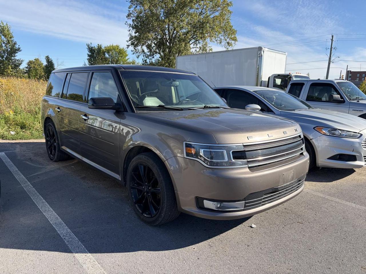 2019 Ford Flex SEL Photo
