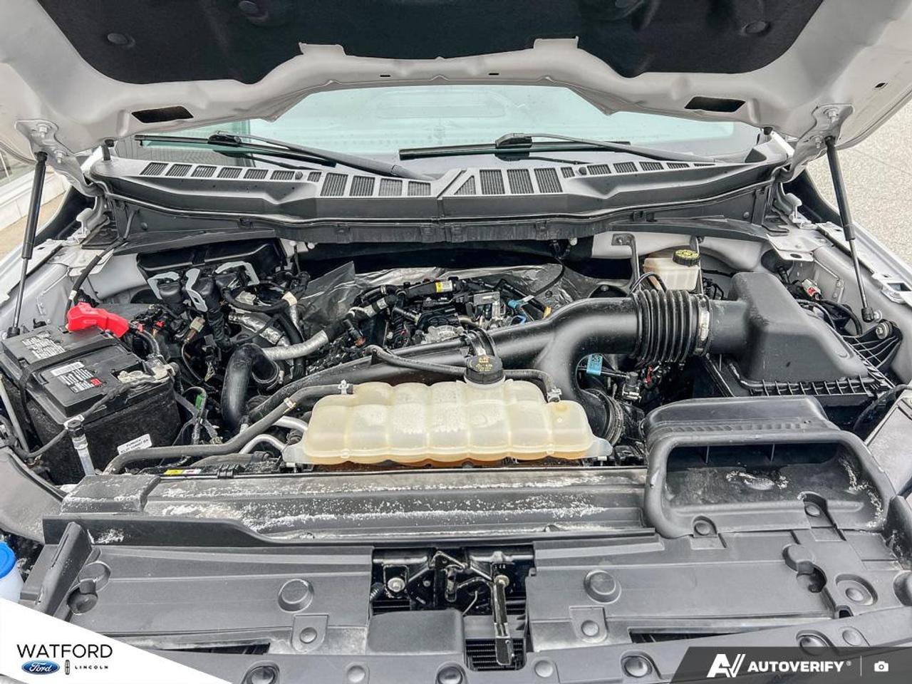 2023 Ford F-150 XLT 4WD SuperCrew 5.5' Box Photo