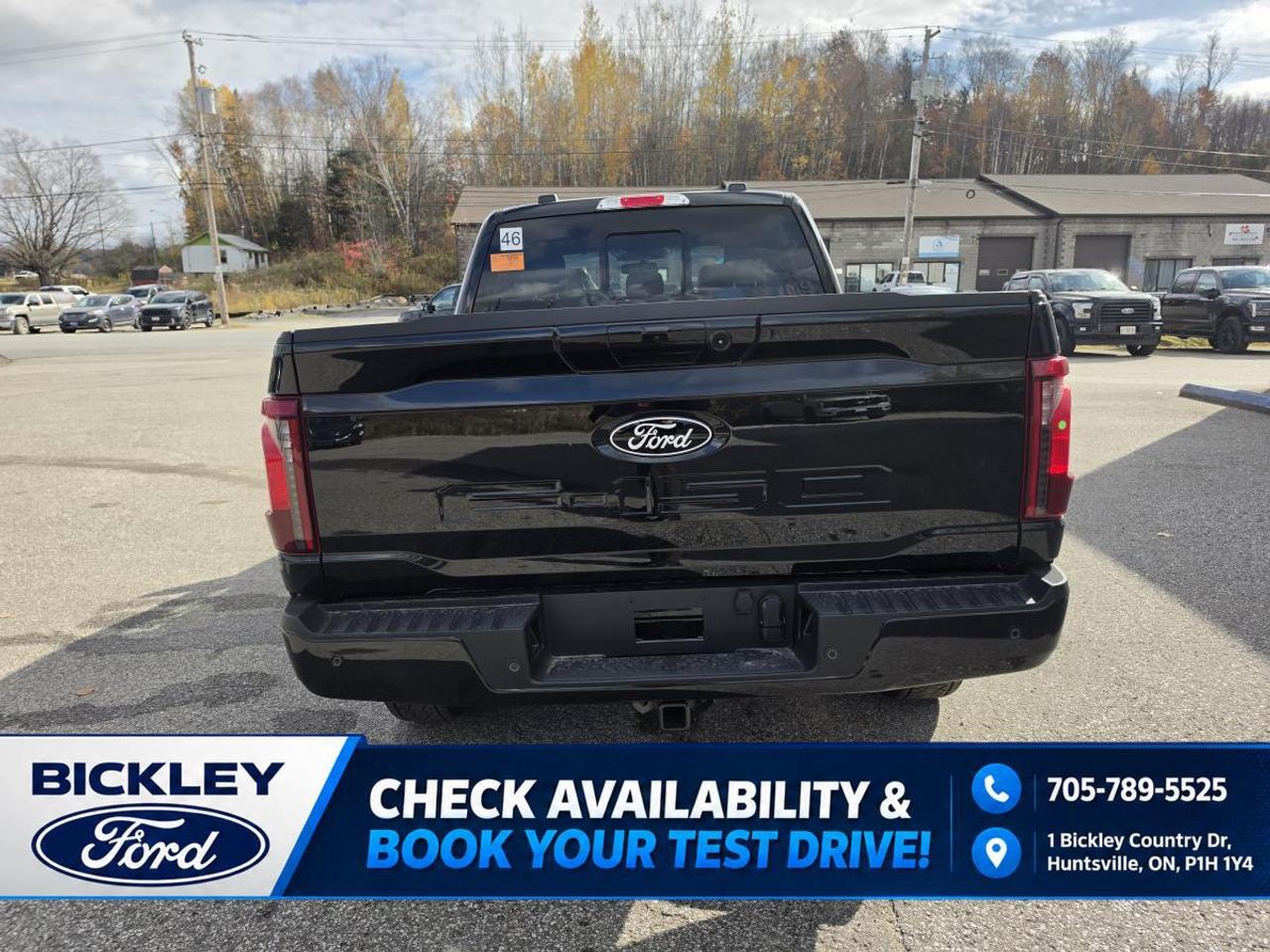 2026 Ford F-150 XLT Photo4