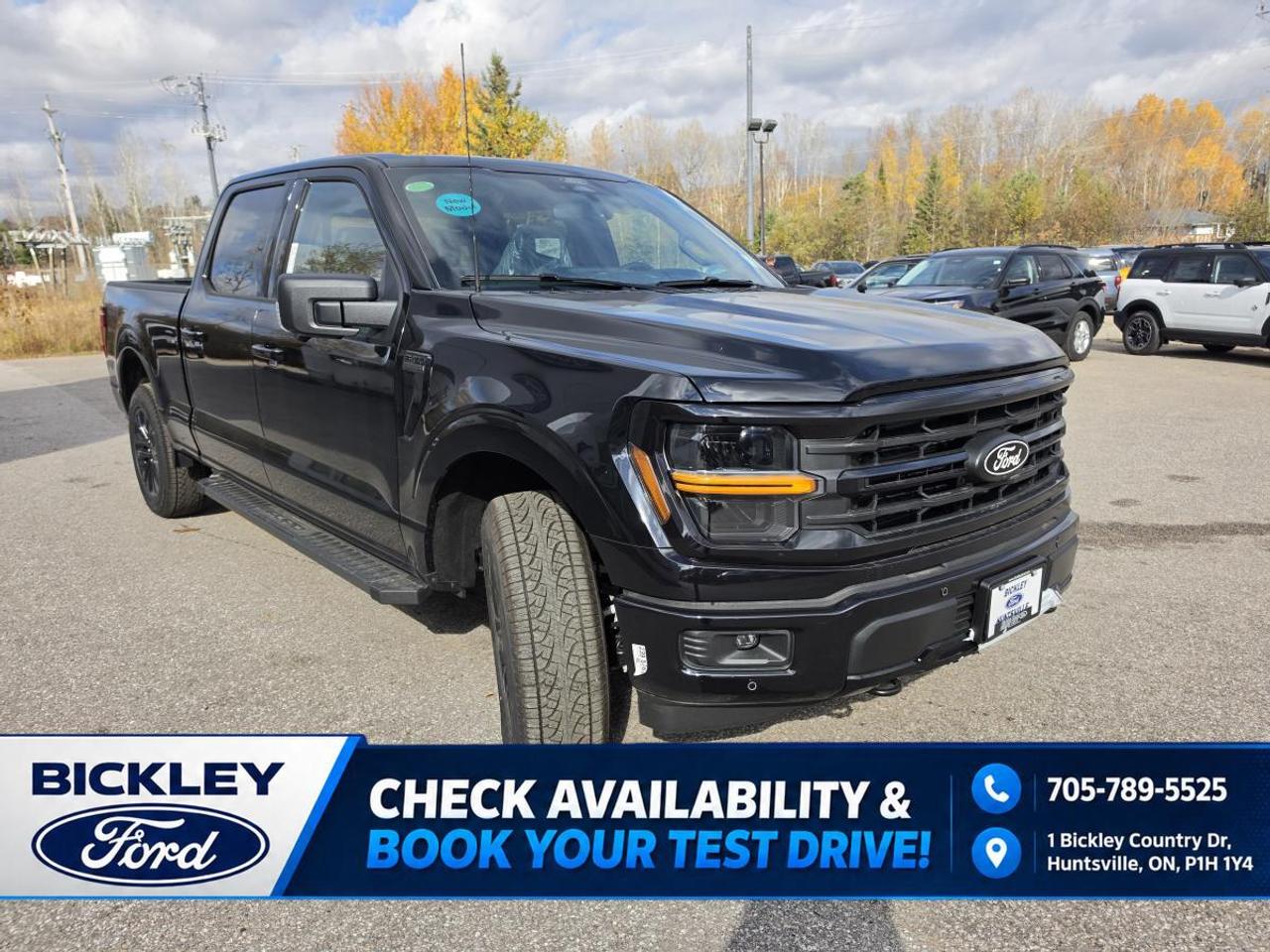 2026 Ford F-150 XLT Photo